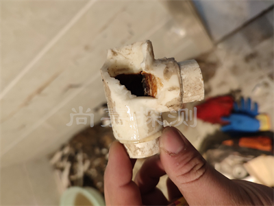 龙湾镇自来水管道漏水检测